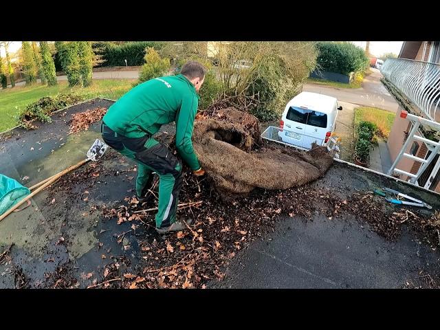 Can You HELP ME? Client's Neighbor Asked Me To REMOVE Ivy From His Garage