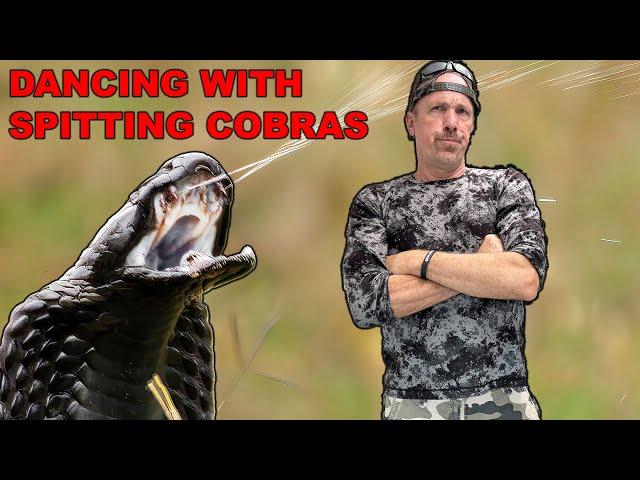 Dancing With A Massive Spitting Cobra!