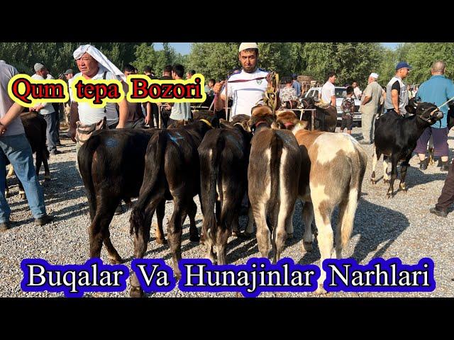 Qum tepa  bozori . Buqalar  Va. Hunajinlar   Narhlari . 25,07,2024 ,  Holat   Urtacha .