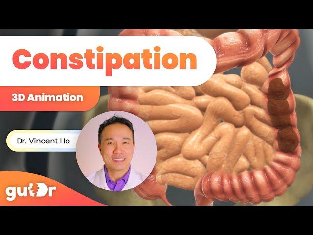 Constipation | The GutDr Explains (3D Gut Animation)