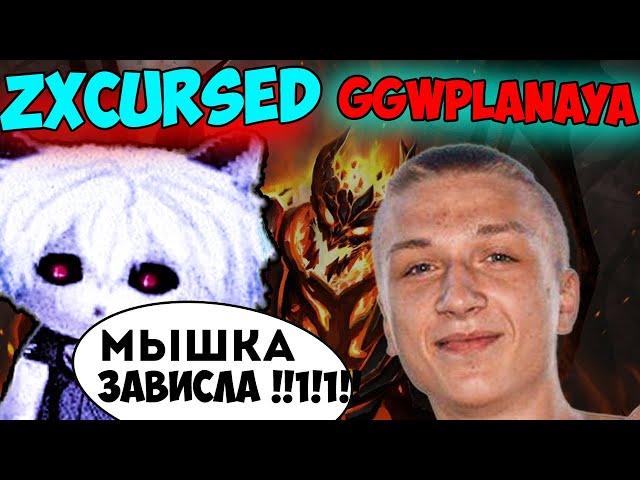 Zxcursed играет 1 на 1 на СФАХ против GGwpLanaya