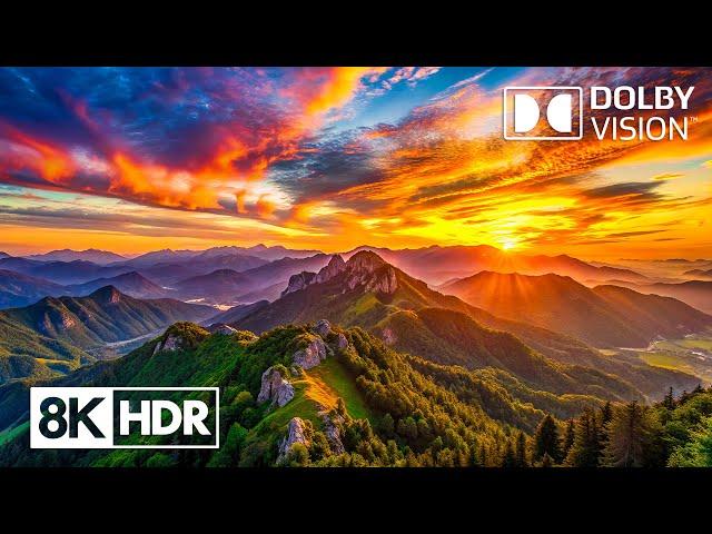 Uncover Nature’s Hidden Wonders in 8K HDR Dolby Vision 60FPS