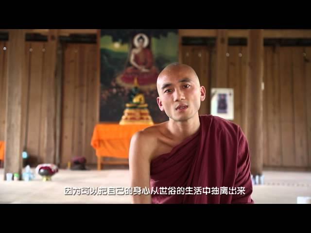 法乐·记忆 ~ Theravada Buddhism Circulation上座部佛教流畅
