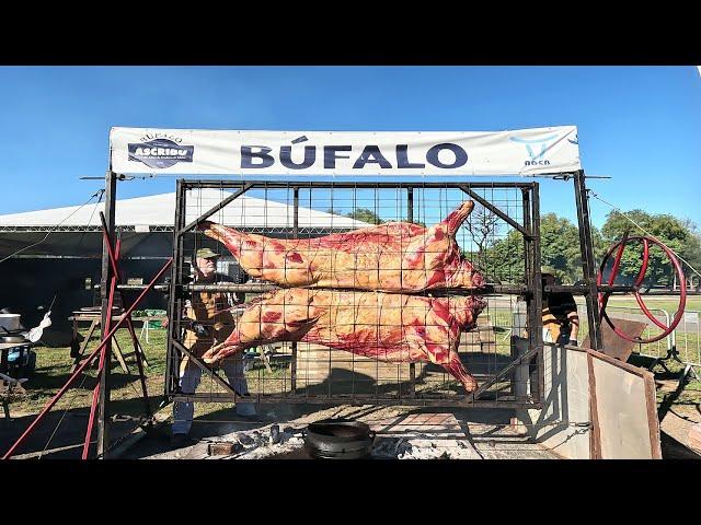 Brazilian BBQ Expo:  Ribs, pork loin and picanha,  whole buffalo, brisket, thin flank  and much more