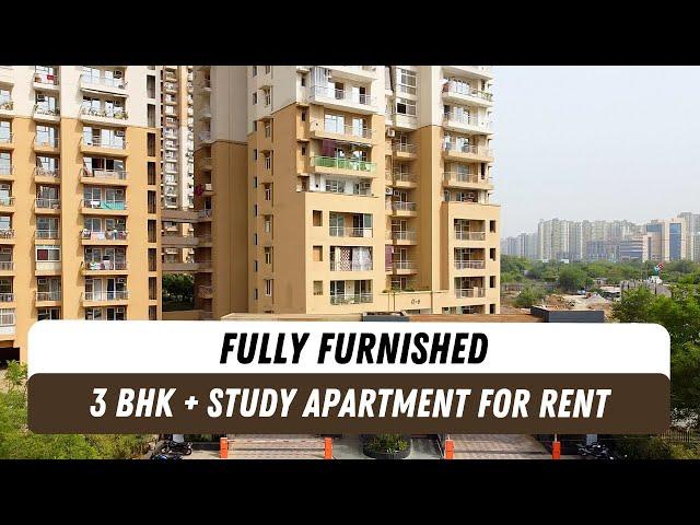 Flats for rent in Noida Extension | Fully Furnished | Greater Noida West