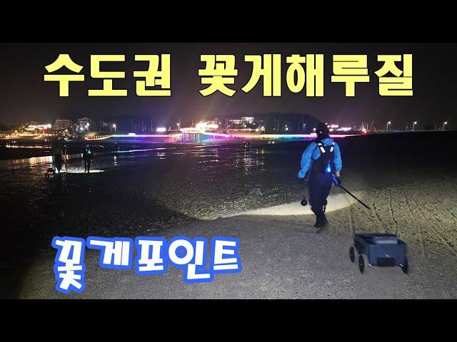 화려한 불빛이 있는 수도권 꽃게포인트 #해루질 #꽃게