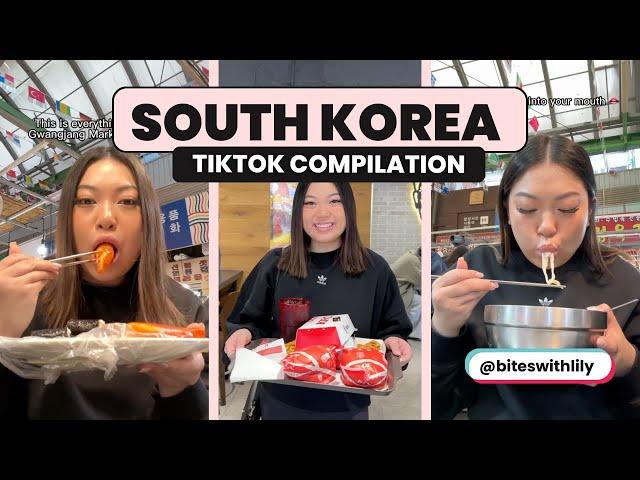 South Korea Food  | Biteswithlily TikTok Compilation