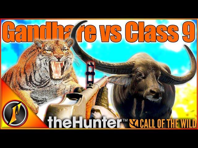 Gandhare vs TIGERS! | Hunting Sundarpatan in Call of the Wild!