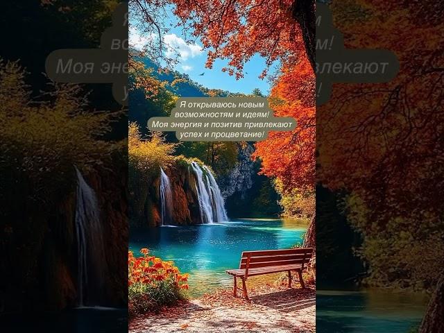 Моя энергия и позитив привлекают успех и процветание #аффирмации #счастье #душа #love #любовь
