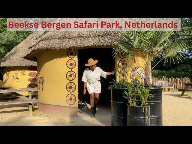 Visit to Safari Park Beekse Bergen - Netherlands Vlog