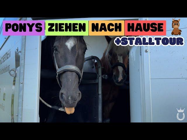 PONYS ZIEHEN NACH HAUSE ​​ | Stalltour ​ | Marina Schuster