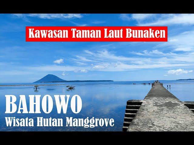 WOW KEREN KAWASAN WISATA HUTAN MANGGOVE BAHOWO TOGKAINA, TEMPATNYA WISATAWAN MENUJU PULAU BUNAKEN