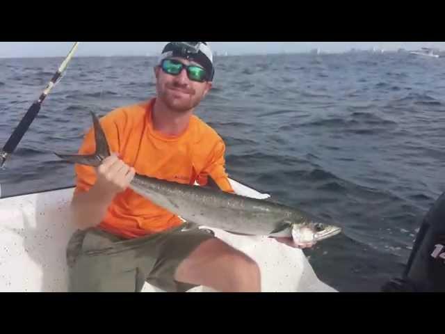 Gulf Coast King Mackerel Catch!