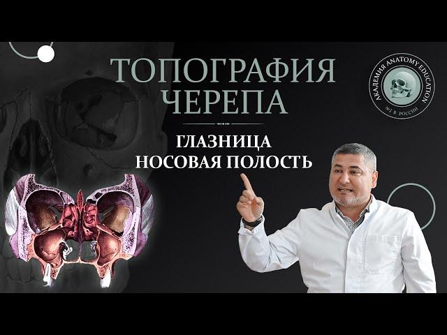 Топография черепа. Глазница. Носовая полость. Крылонёбная ямка