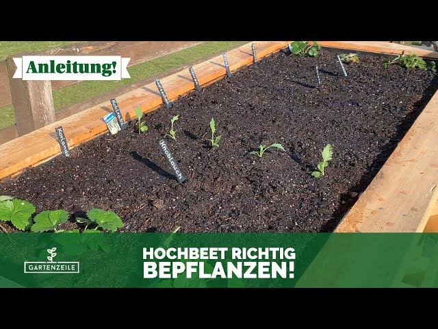 Planting raised beds in spring correctly  ‍ Tips & Tricks Which plants grow well along each other