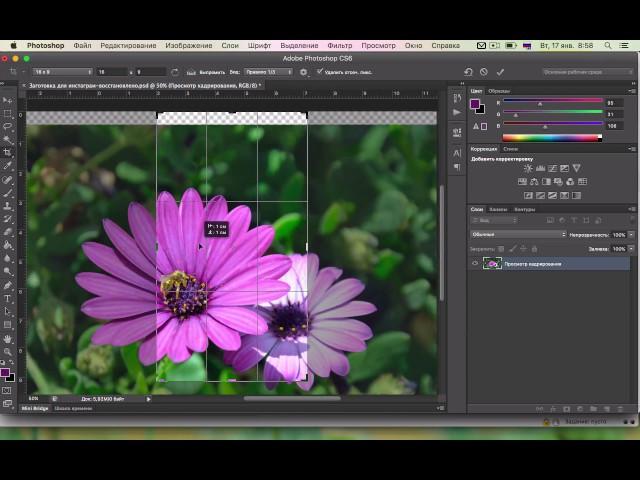 Как обрезать изображение в Photoshop