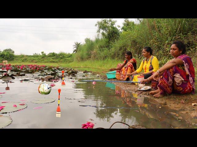 Fishing video| Hook Fishing Lotus pond | The lady caught fish in the Lotus pond of the village today