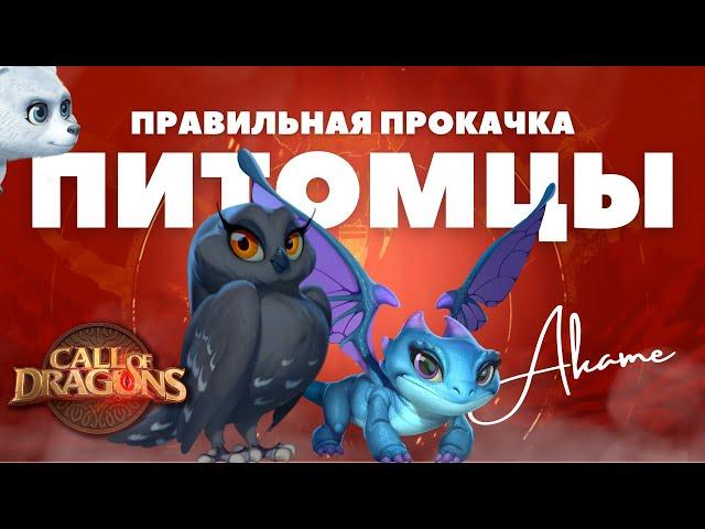 Правильная прокачка ПИТОМЦЕВ / Базовое видео [ Call of Dragons ]