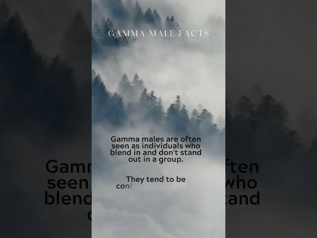 Unleashing the Untold Truths of Gamma Males