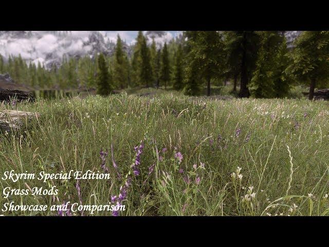 Skyrim SE - Grass Mods: A Detailed Showcase And Comparison - Verdant - Veydosebrom - Viscous Foliage