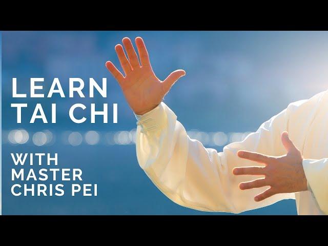 Tai Chi for Beginners | Best Instructional Video for Learning Tai Chi