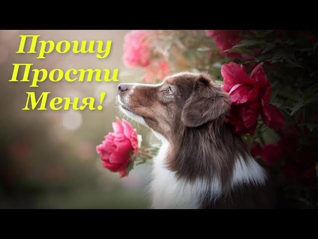 Прошу прости меня | Слова прощения | Извини