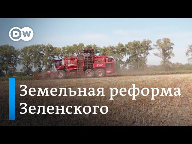 Земельная реформа Зеленского: почему украинские фермеры против?