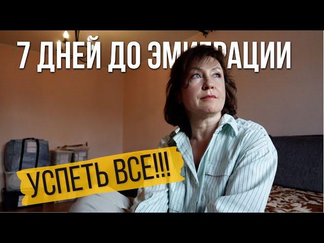 7 дней до эмиграции из России! Что нужно успеть сделать на прощание?