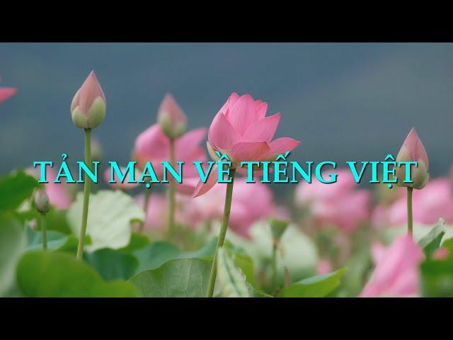 Tản mạn về tiếng Việt | Café Tâm sự | Số 17 – 2024