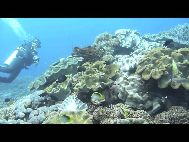 Crystal bay with Dive Concepts