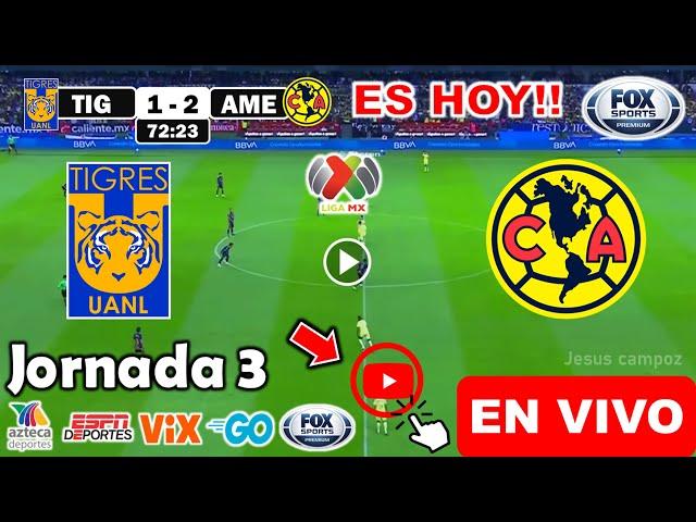 Tigres vs. América en vivo, donde ver, a que hora juega Tigres vs. América Apertura Liga MX 2024