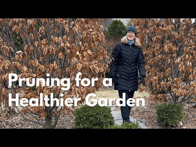 Pruning for a Healthier Garden!