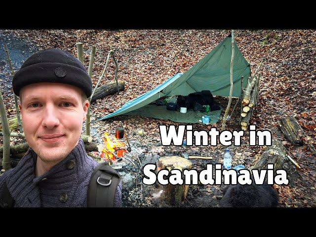 Solo Winter Survival Camping & Bushcraft - no tent, top down fire, Swedish torch, delicious meals