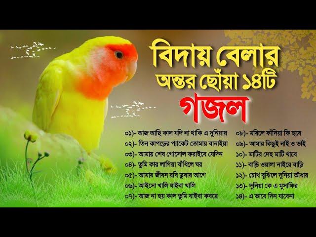 ১৪টি বিদায় বেলায় অন্তর ছোঁয়া গজল | Bangla Gojol Album | Heart Touching Top 14 Gojol | বাংলা গজল