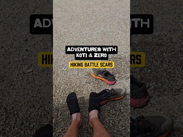 Adventures with Koti & Zero. Hiking battle scars #dailyvlog #hikingadventures #travelvlog