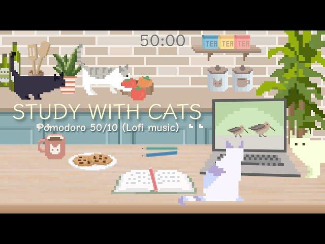 Study with Cats  Pomodoro timer 50/10 x Animation | Studying at the kitchen table  | Lofi music