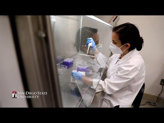 SDSU Researchers Confront COVID-19 (1 Minute Teaser)