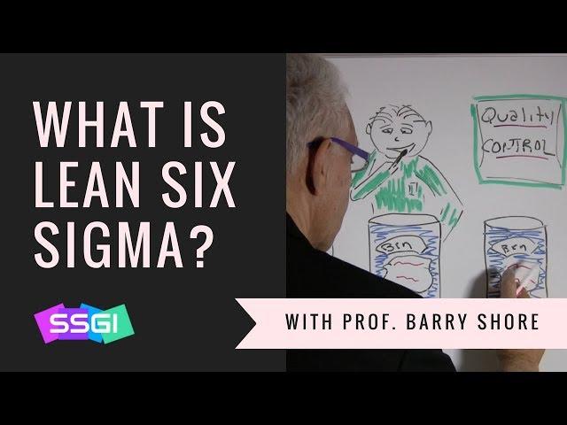 What is Lean Six Sigma?