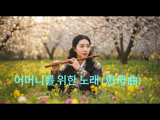 [등불 아래 그대] 가슴을 울리는 국악 트로트｜어머니｜감성 인생 트로트