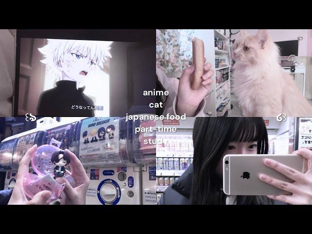 vlog: daily otaku life in japan with my cats  anime, japanese food, part-time job, study, etc.