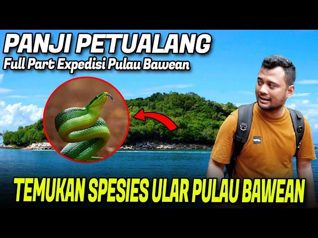 PANJI TEMUKAN SUNGAI ULAR DI PULAU BAWEAN‼️ EXPEDISI BERAKHIR DISINI