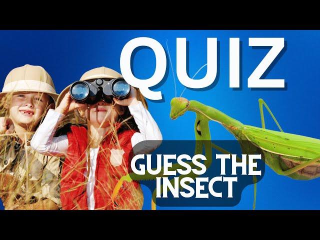 Guess The Insect Quiz for Kids Learning | Fun Facts & Trivia!