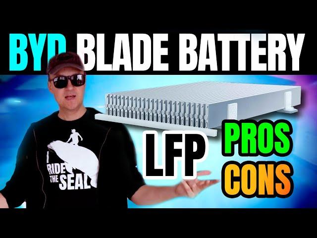 BYD Blade Battery Pros and Cons: Is LFP The Winning Tech?