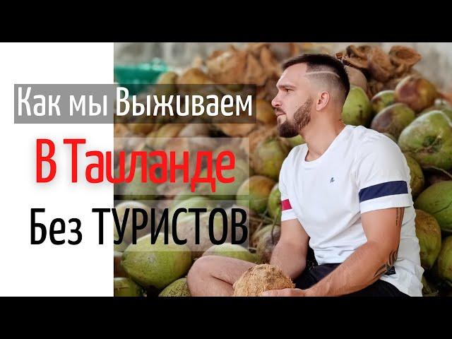 Таиланд 2021. Жизнь без туристов. Работа с тайцами на плантациях