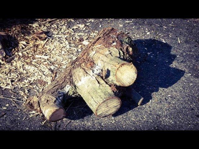 Woodturning a Fiery **Maple** log