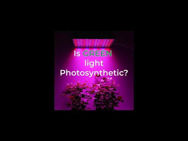 Does green light grow plants?