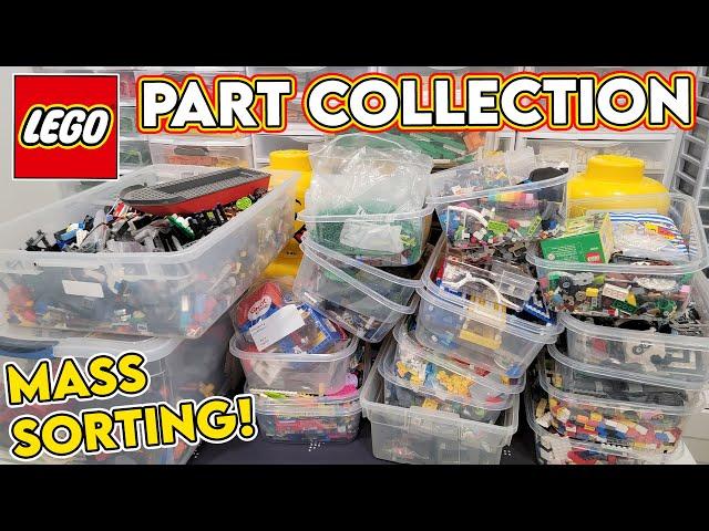 Mass LEGO Sorting | How To & Part Collection Overview