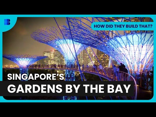 Gardens by the Bay - How Did They Build That? - S01 EP03 - Engineering Documentary