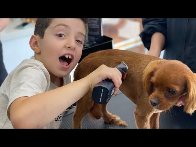 Dog Grooming for Kids | Pet Grooming for Kids | Learn how your dog is groomed at the Salon!