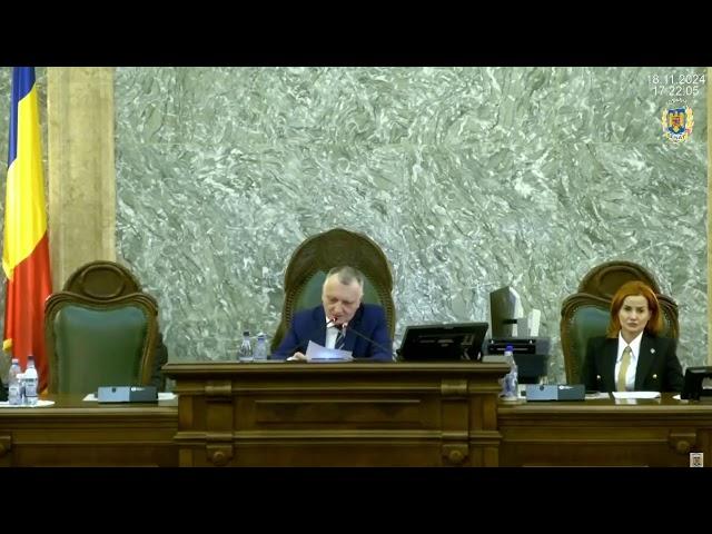 Senatul votează abilitarea Guvernului de a emite ordonanțe în vacanța parlamentară